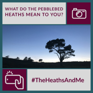 The Heaths And Me Project