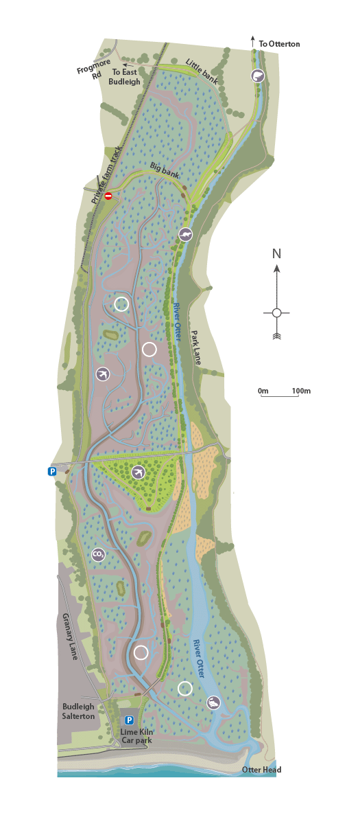 River Otter Environment