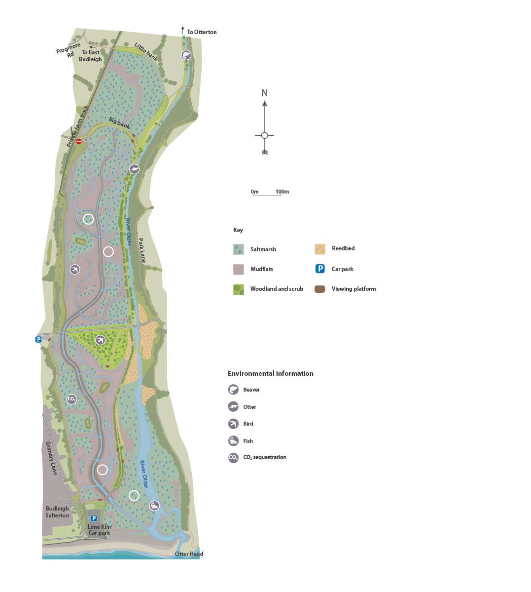 River Otter Environment