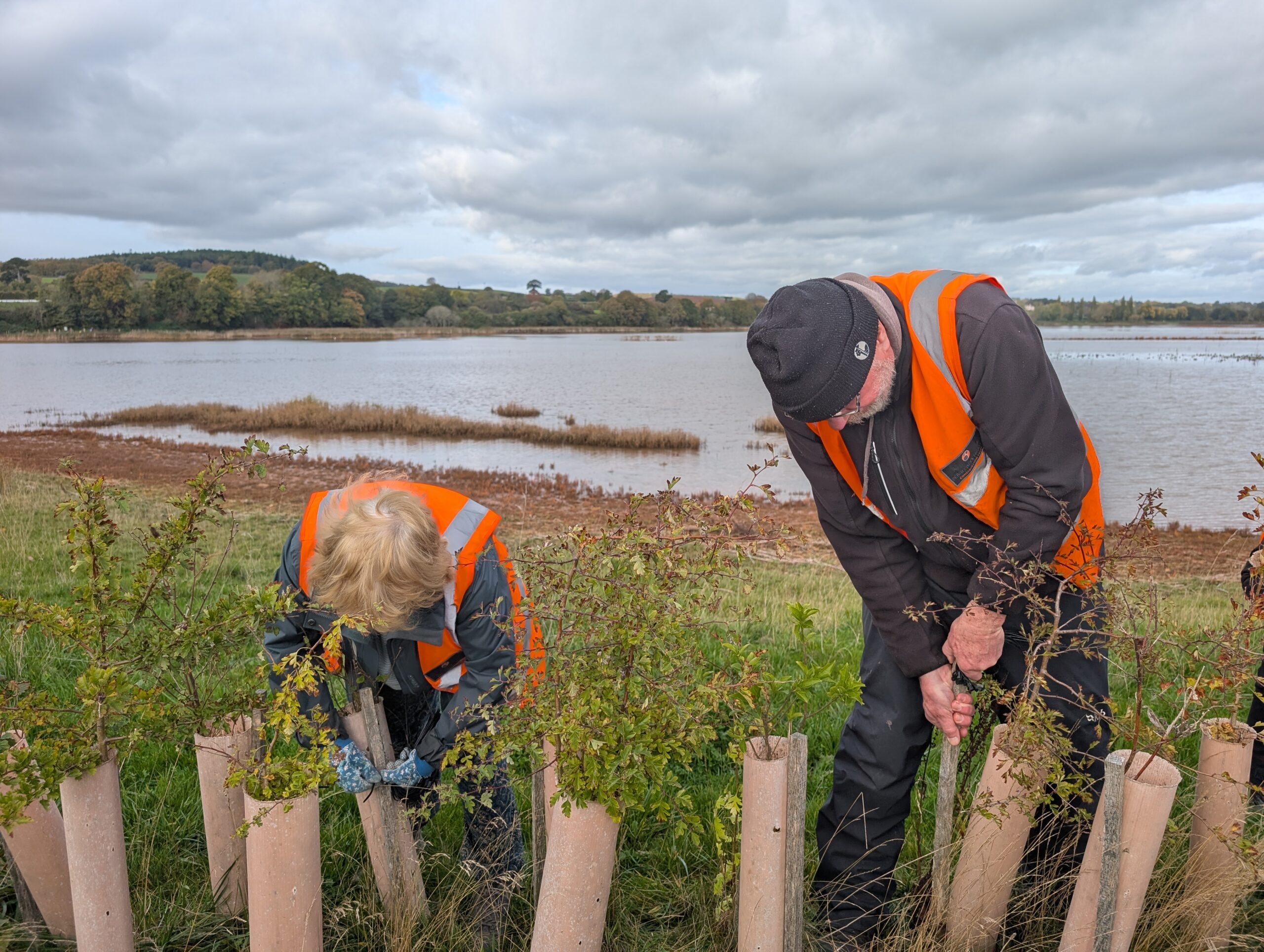 Celebrating Wetland Weekender 2025! - Pebblebed Heaths